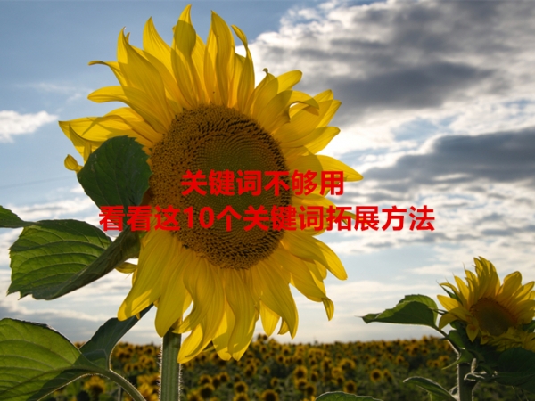 關(guān)鍵詞不夠用，看看這10個(gè)關(guān)鍵詞拓展方法！