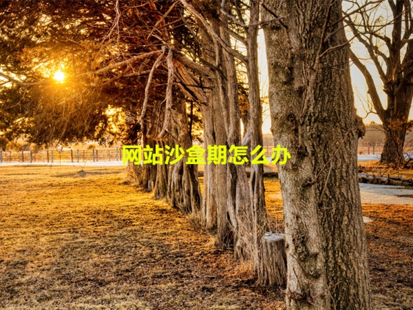 網(wǎng)站沙盒期怎么辦？